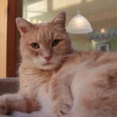 Teun (Directeur)