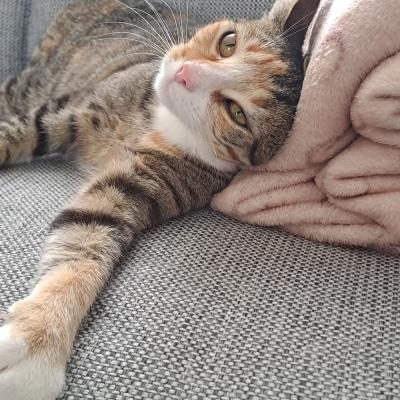 Morani, Maddox en Maika
