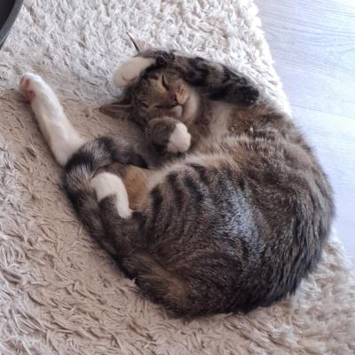 Morani, Maddox en Maika
