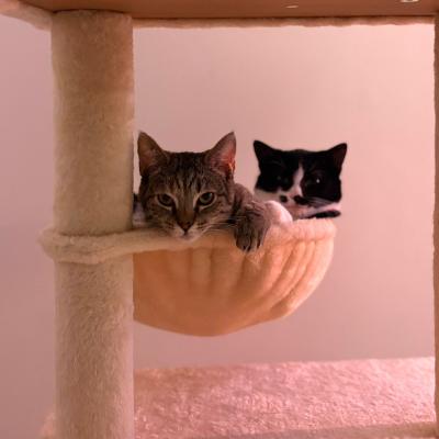 Anya (voorheen Carly) en Lucy (voorheen Daya)