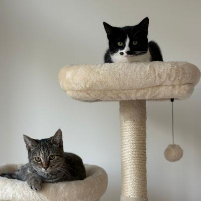 Anya (voorheen Carly) en Lucy (voorheen Daya)