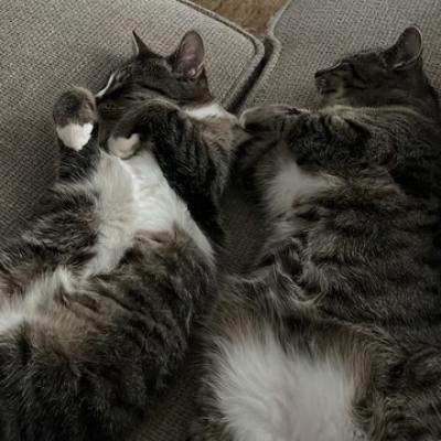 Molly en Rover (voorheen Ezra en Enya)