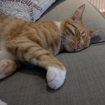 Fred