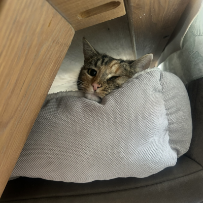 Millie