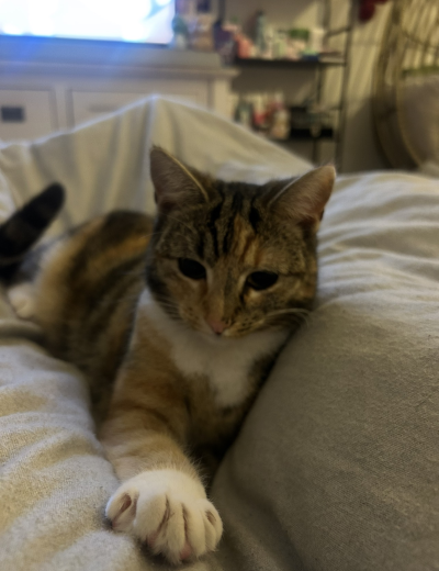Millie