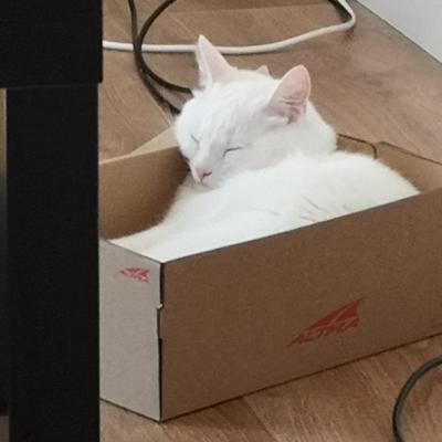 Lumi