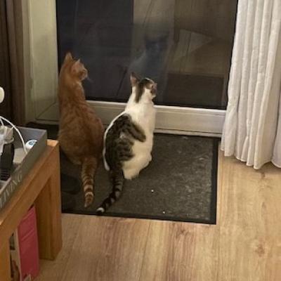 Mickey (voorheen Mike) en Murphy