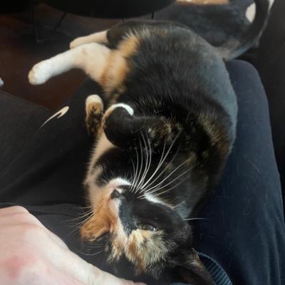 Juno (voorheen Chanel)