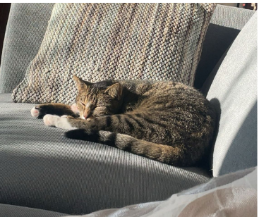 Kiki