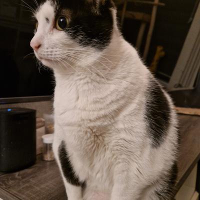 Luna