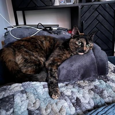 Jacky (Voorheen Nadia)