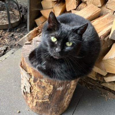 Poppy ( voorheen Skittels)