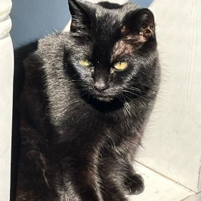 Poppy ( voorheen Skittels)