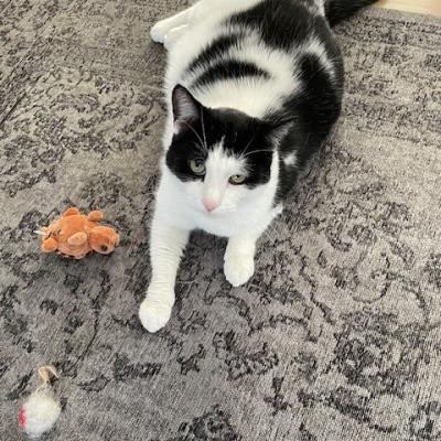 Binkie en Bubbel