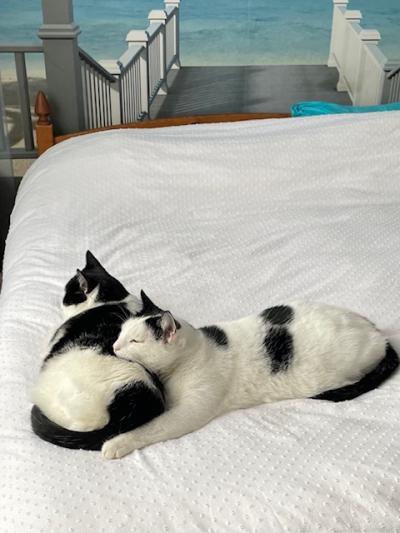 Binkie en Bubbel