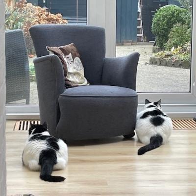 Binkie en Bubbel