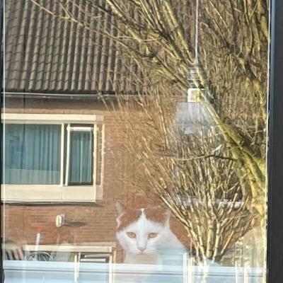 Binkie en Bubbel