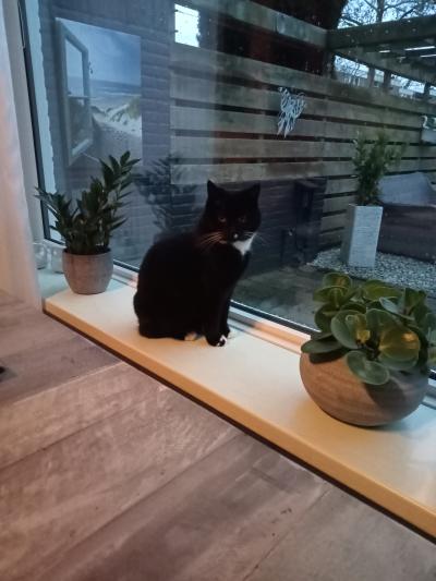 Blacky