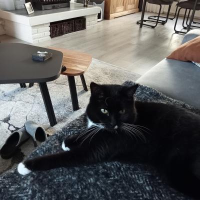 Blacky