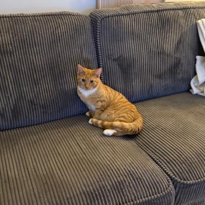 Leo (voorheen Buzz) en Brummel