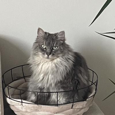 Minki (voorheen Esra)