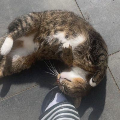 Kiki