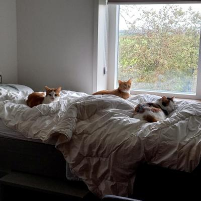 Nacho (voorheen Jasper) en Zimba (voorheen Koen)