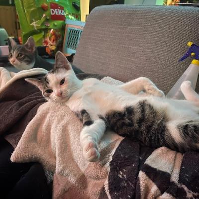 Kit (voorheen Randy) en Kat (voorheen Remy)