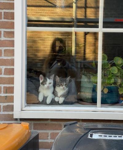 Kit (voorheen Randy) en Kat (voorheen Remy)