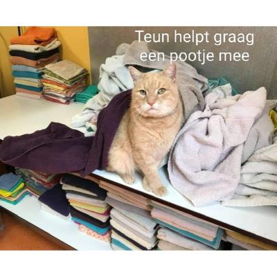 Open Dag 2025