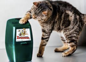 Collectanten gezocht!