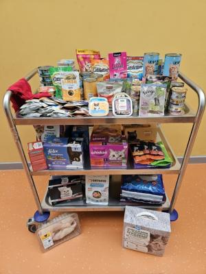 Geslaagde bezoekdag in het adoptieverblijf