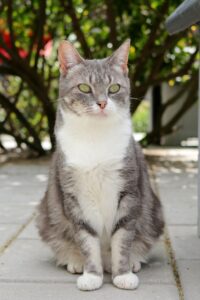 Rabi is eindelijk gelukkig