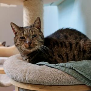 Donder heeft het erg naar zijn zin in het adoptieverblijf