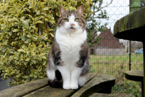 Raven wordt steeds minder bang