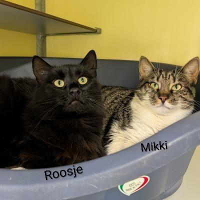 Mikki en Roosje zoeken een huis met afgesloten tuin of een bovenwoning met afgesloten balkon