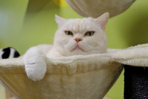 Mooie Solar doet helaas aan wildplassen