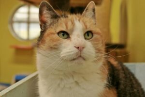 Vonnie is een felle tante met lieve trekjes