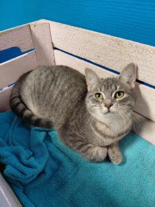 Snuffie zoekt een huis met tuin