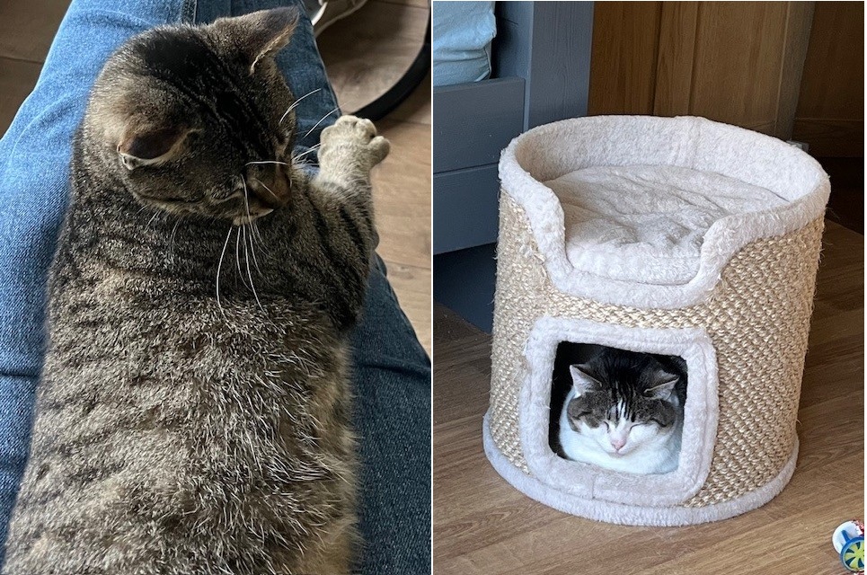 Sieb en Betsie(voorheen liesje)