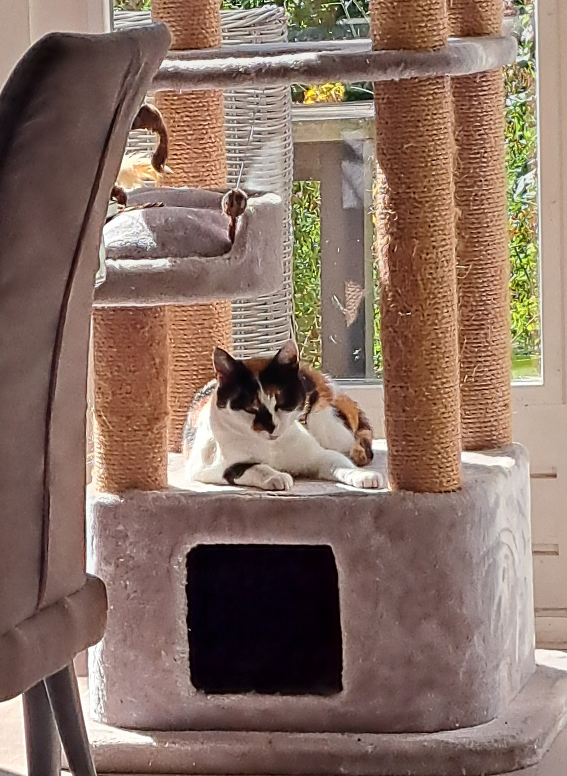 Loesje (voorheen Groezel)