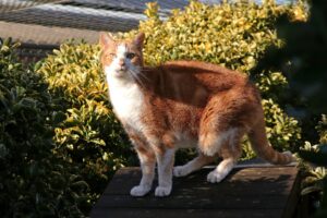 Pim vindt het heerlijk om op schoot te zitten