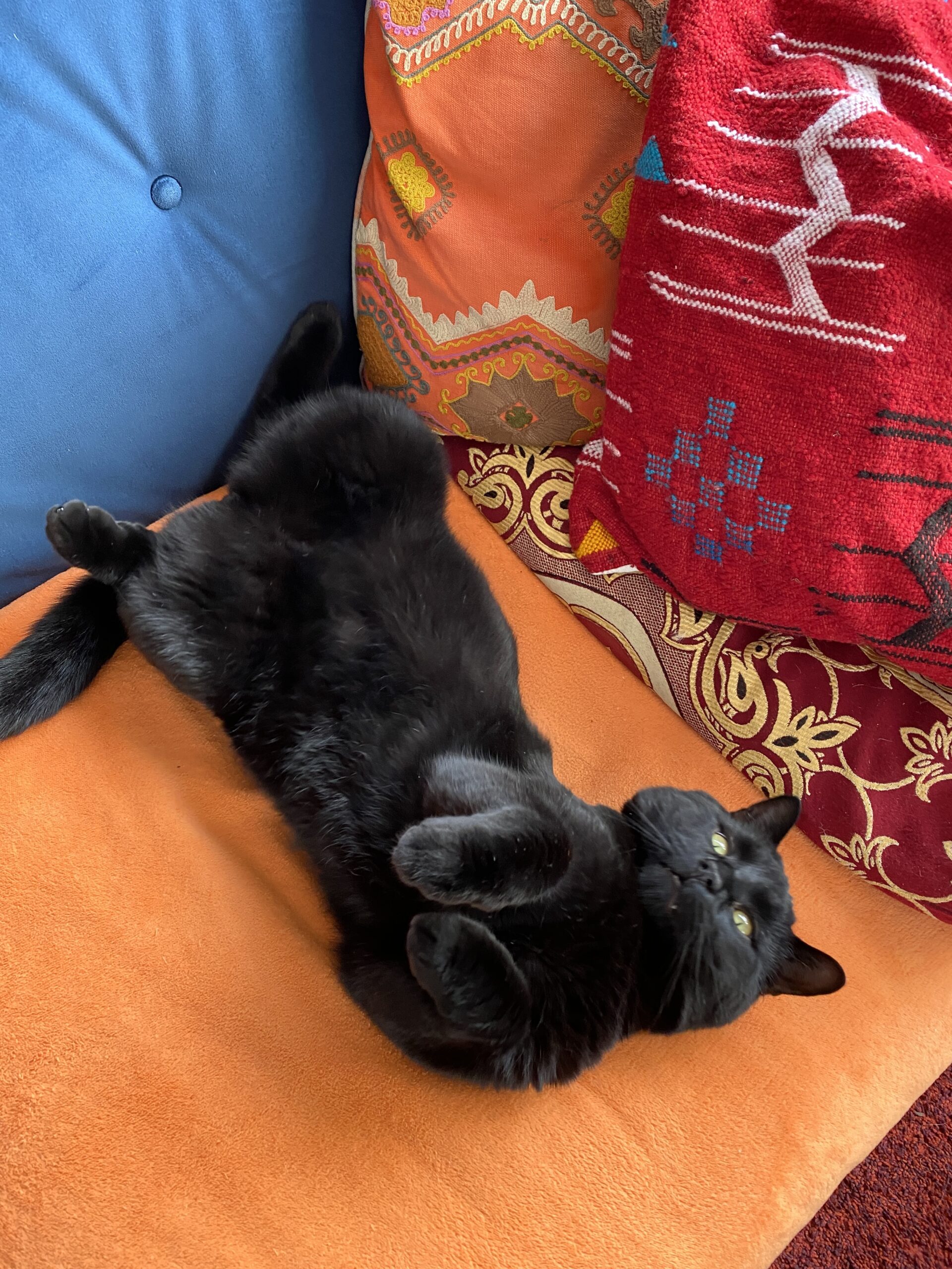 Ozzy (voorheen Goofy)