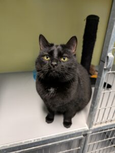 Lucy zoekt een huis met een tuin