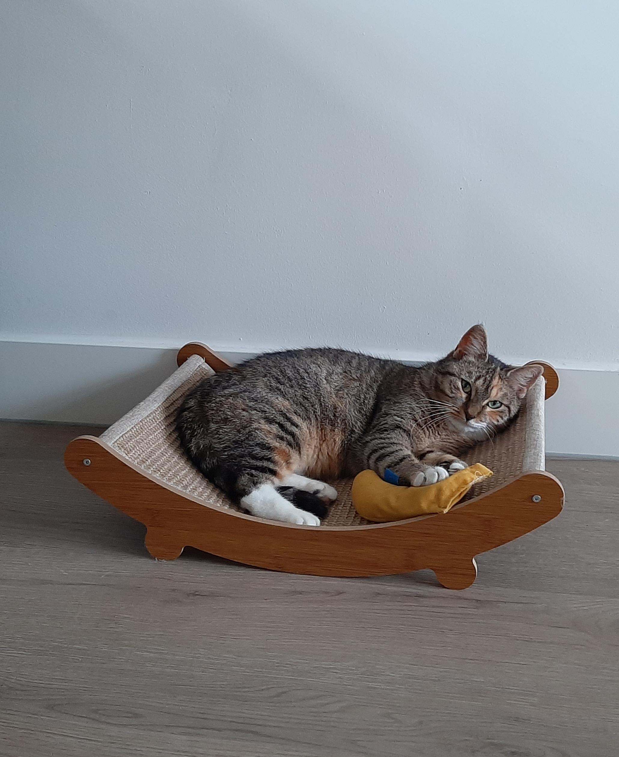 Sunny (voorheen Sally)