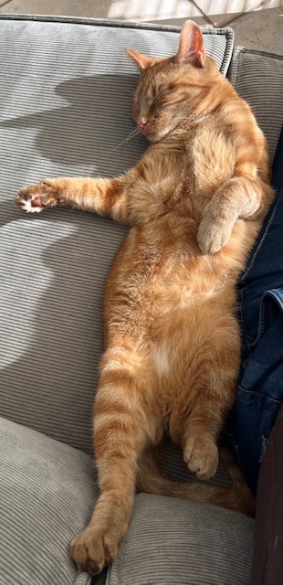 Sientje (voorheen Mina)