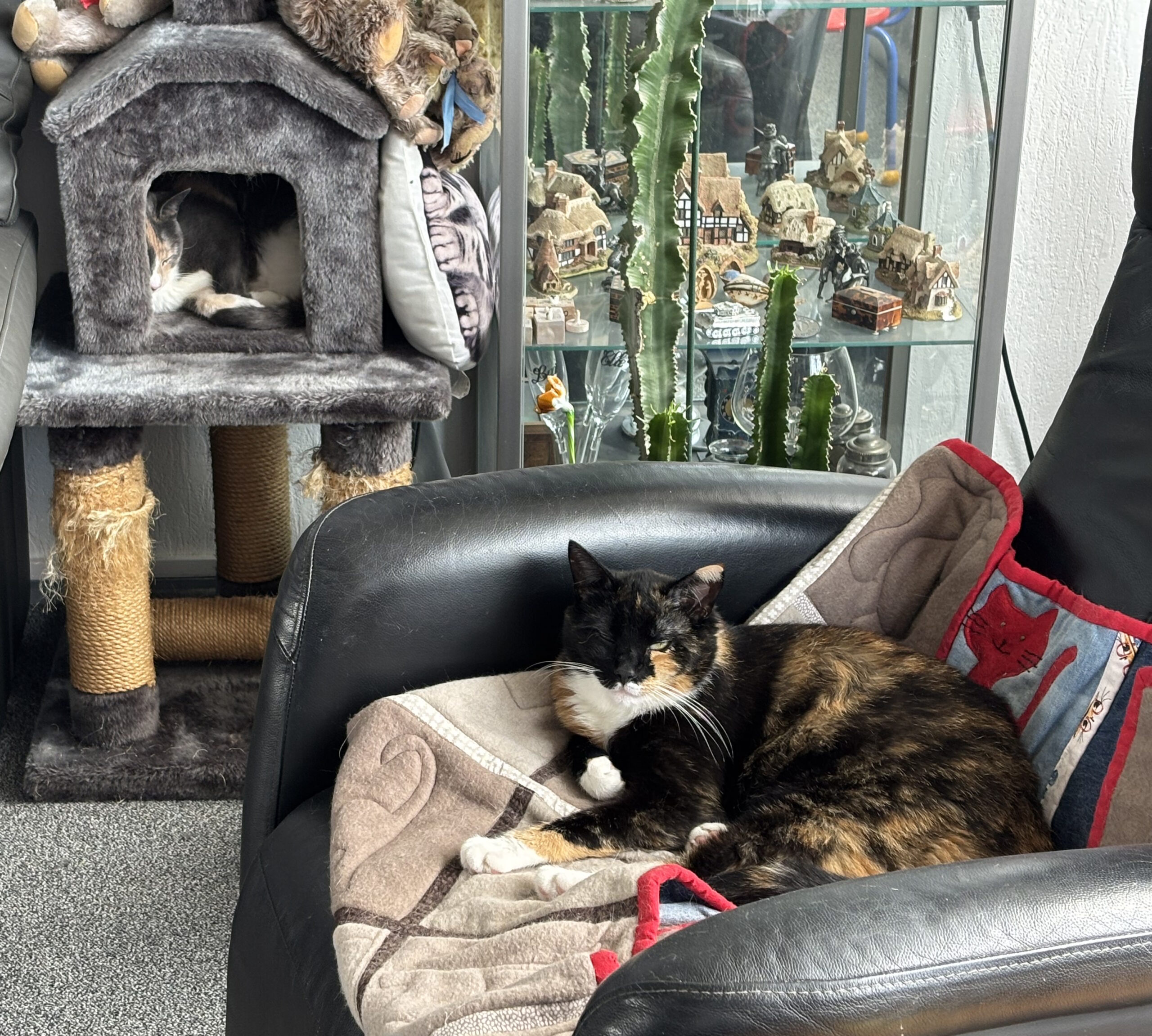 Nijltje en Zooitje (Voorheen Nyla en Zoe)