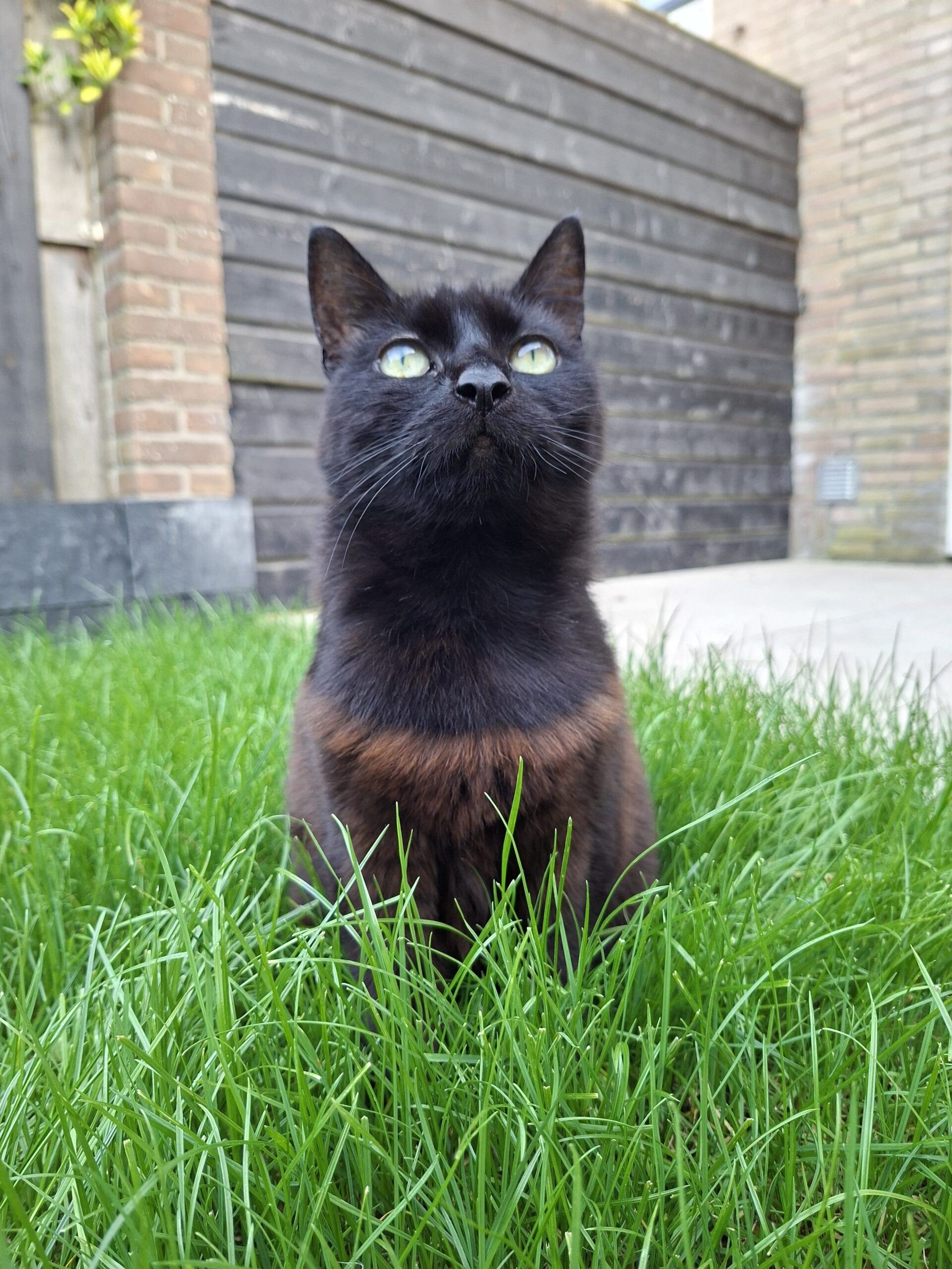 Luna